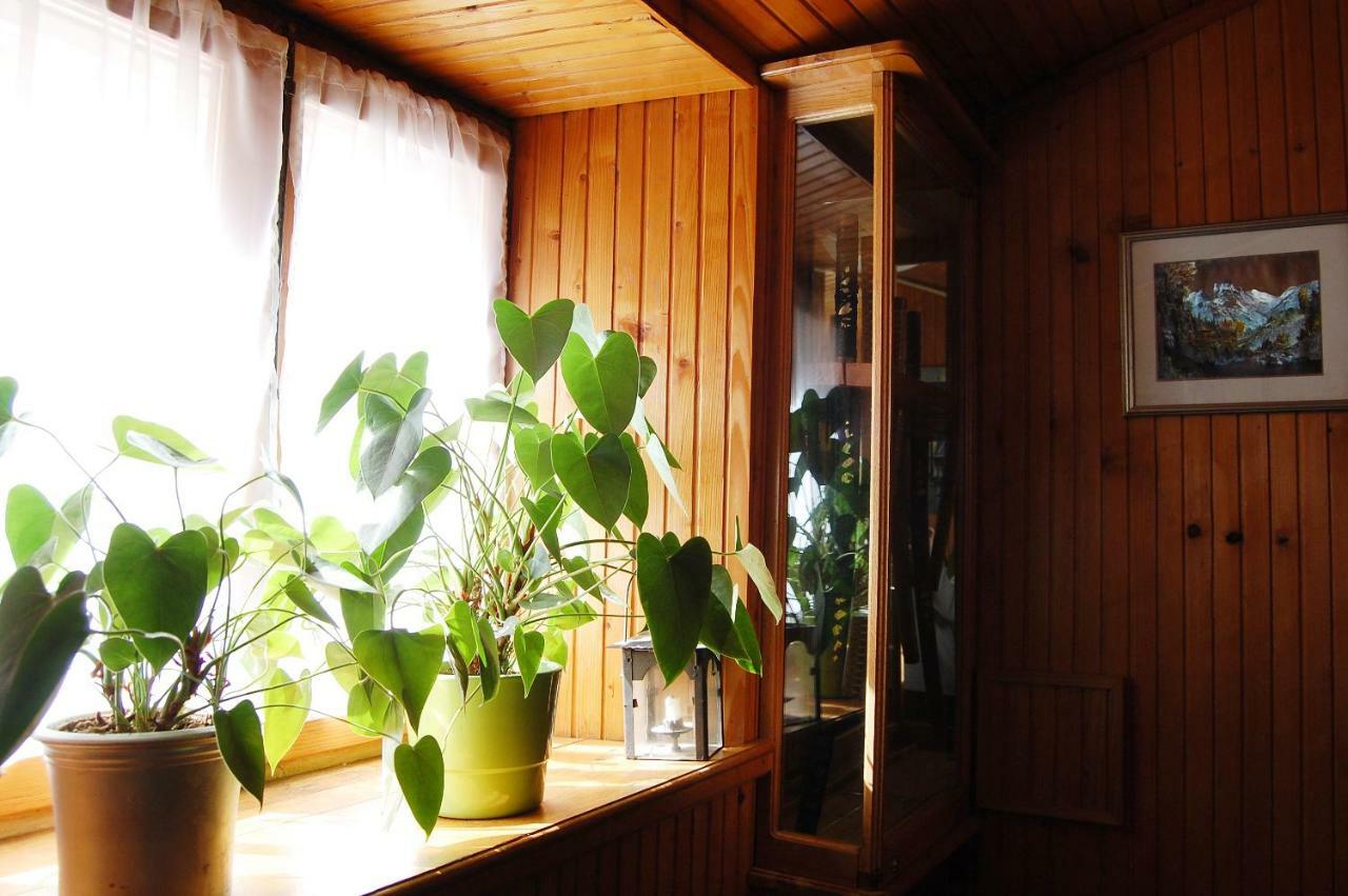 Apartment Stradun In The Heart Of Old City Dubrovnik Ngoại thất bức ảnh